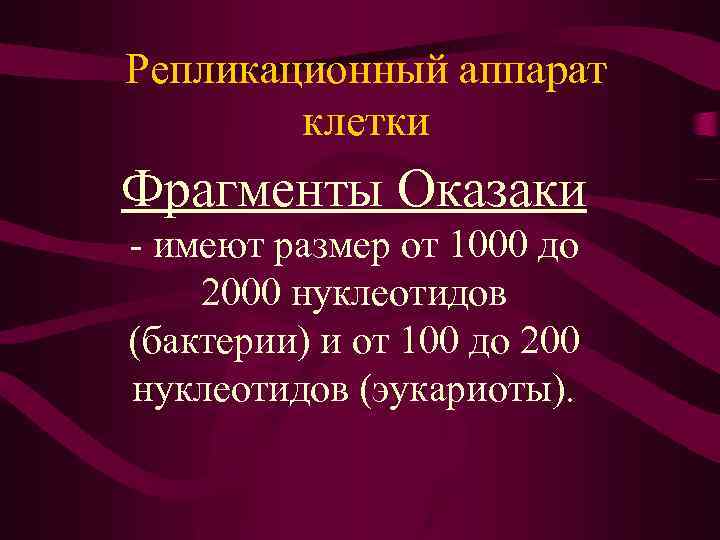 Репликационный аппарат клетки Фрагменты Оказаки - имеют размер от 1000 до 2000 нуклеотидов (бактерии)