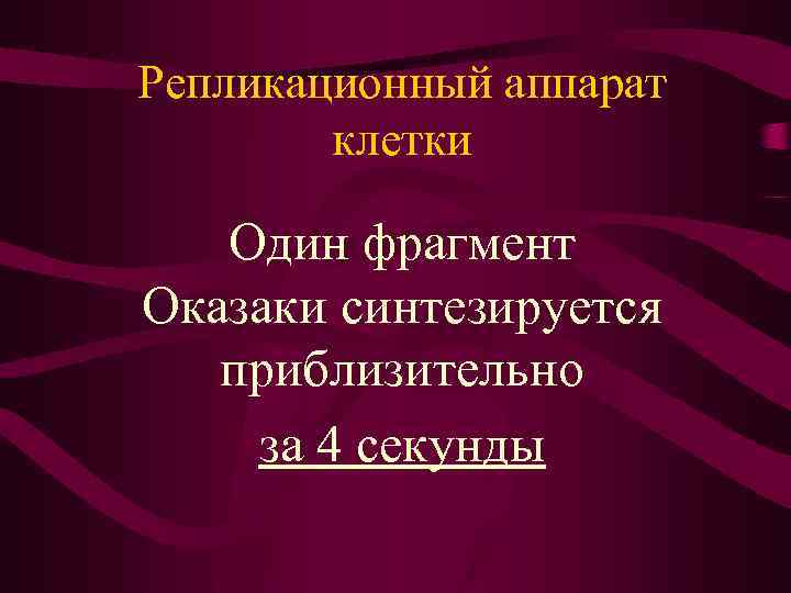 Репликационный аппарат клетки Один фрагмент Оказаки синтезируется приблизительно за 4 секунды 