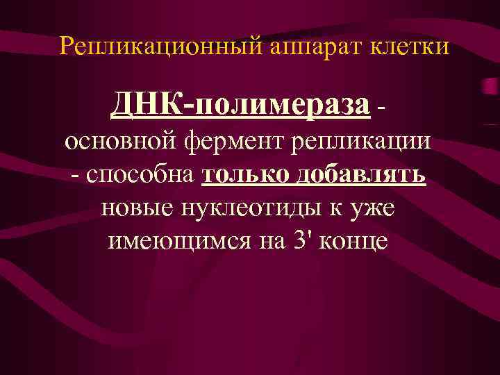 Репликационный аппарат клетки ДНК-полимераза основной фермент репликации - способна только добавлять новые нуклеотиды к