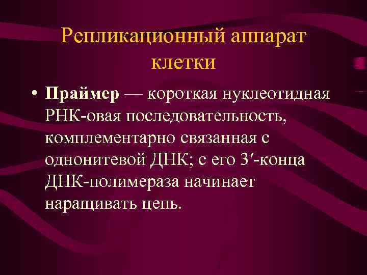 Репликационный аппарат клетки • Праймер — короткая нуклеотидная РНК-овая последовательность, комплементарно связанная с однонитевой