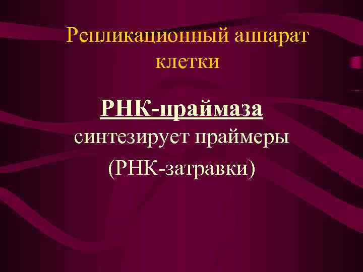 Репликационный аппарат клетки РНК-праймаза синтезирует праймеры (РНК-затравки) 