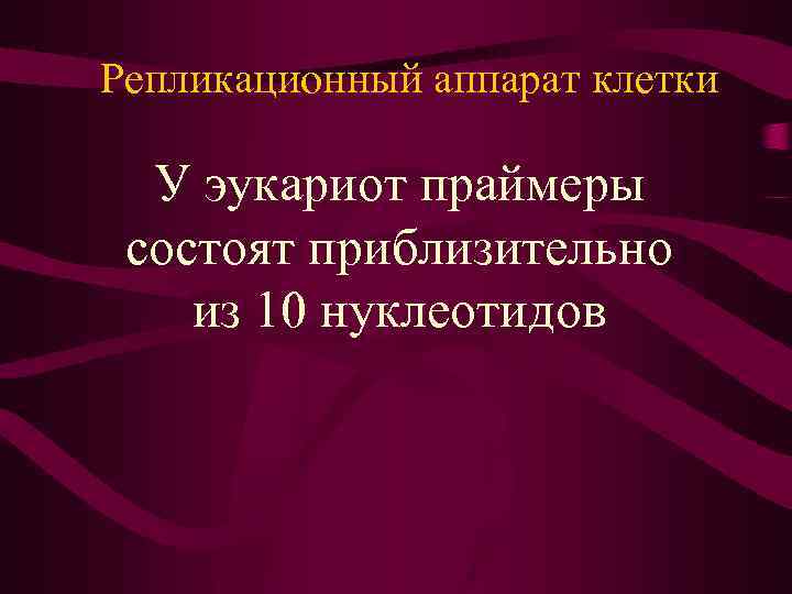 Репликационный аппарат клетки У эукариот праймеры состоят приблизительно из 10 нуклеотидов 