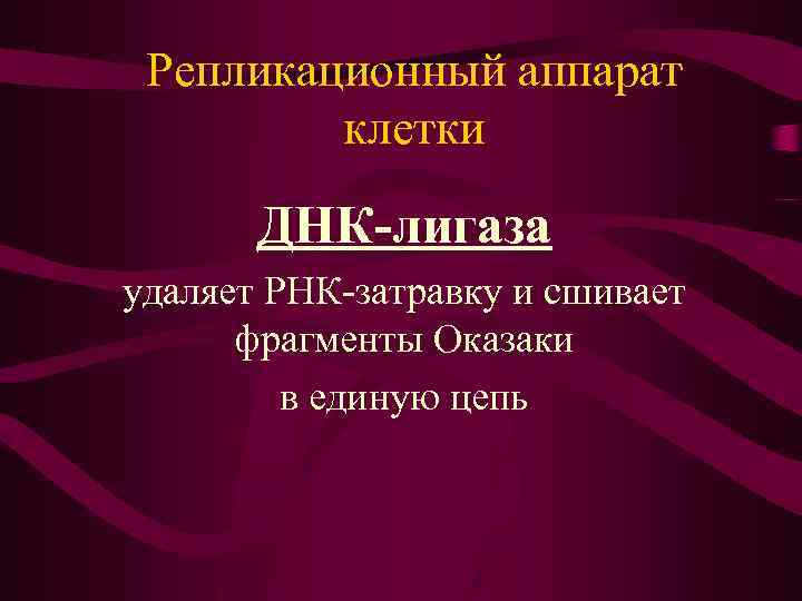 Репликационный аппарат клетки ДНК-лигаза удаляет РНК-затравку и сшивает фрагменты Оказаки в единую цепь 