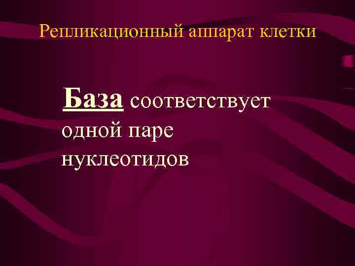 Репликационный аппарат клетки База соответствует одной паре нуклеотидов 