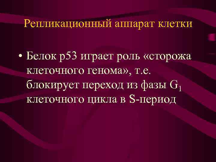 Репликационный аппарат клетки • Белок р53 играет роль «сторожа клеточного генома» , т. е.