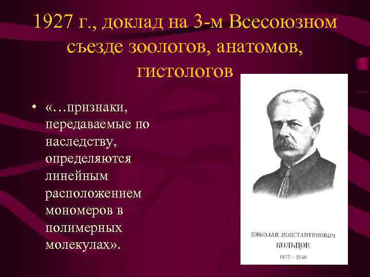 1927 г. , доклад на 3 -м Всесоюзном съезде зоологов, анатомов, гистологов • «…признаки,