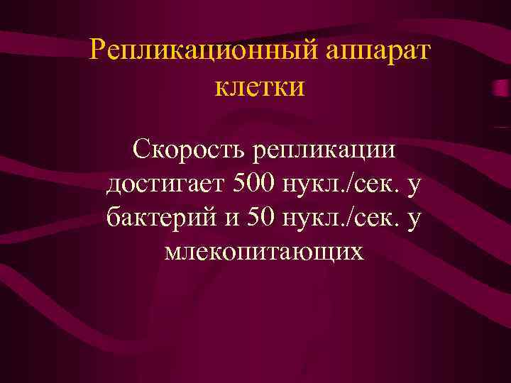 Репликационный аппарат клетки Скорость репликации достигает 500 нукл. /сек. у бактерий и 50 нукл.