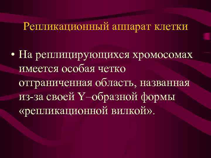 Репликационный аппарат клетки • На реплицирующихся хромосомах имеется особая четко отграниченная область, названная из-за