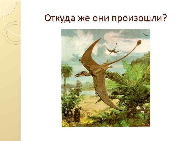  Откуда же они произошли? 