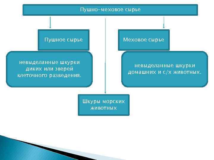 Пушно-меховое сырье Пушное сырье Меховое сырье невыделанные шкурки диких или зверей клеточного разведения. невыделанные
