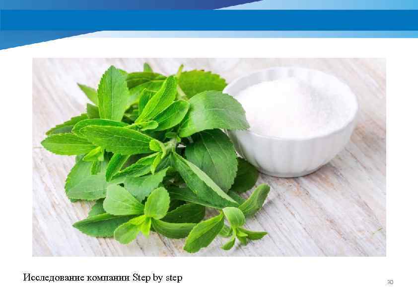Исследование компании Step by step 30 