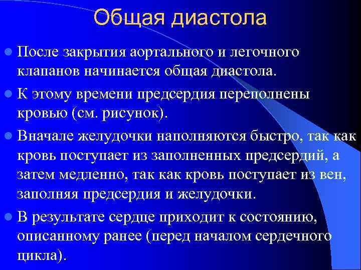 Общая диастола l После закрытия аортального и легочного клапанов начинается общая диастола. l К
