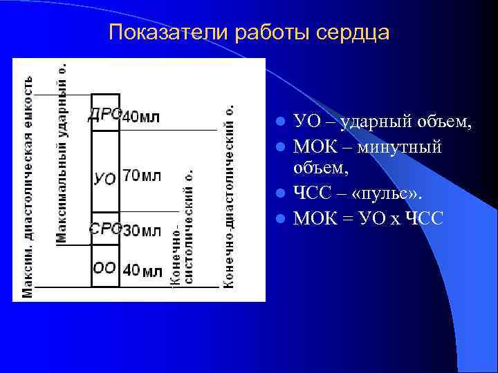 Показатели работы сердца УО – ударный объем, l МОК – минутный объем, l ЧСС