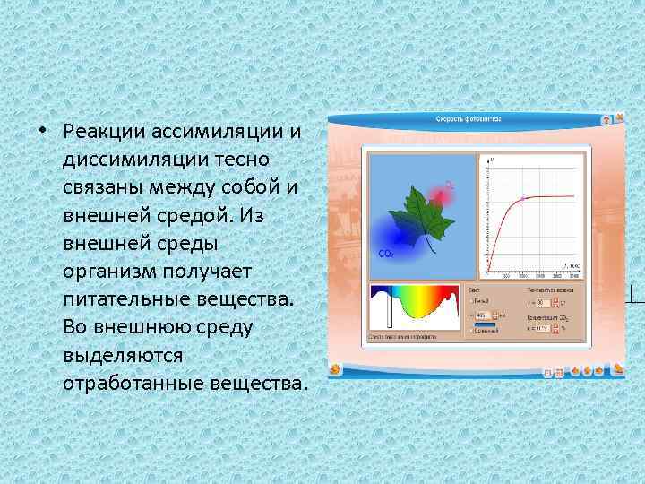  • Реакции ассимиляции и диссимиляции тесно связаны между собой и внешней средой. Из