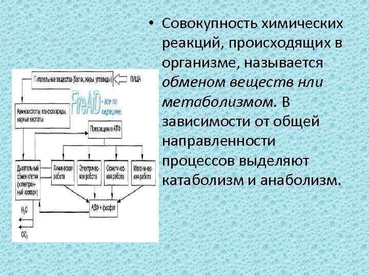 Совокупность реакций