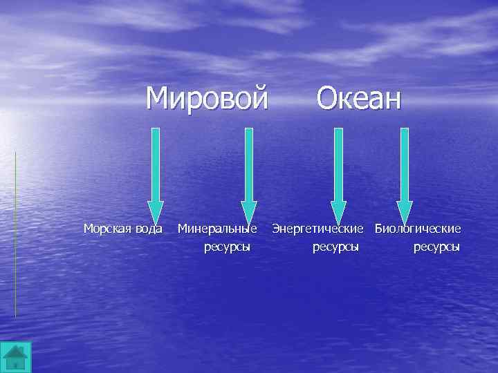 Биологические ресурсы мирового океана проект