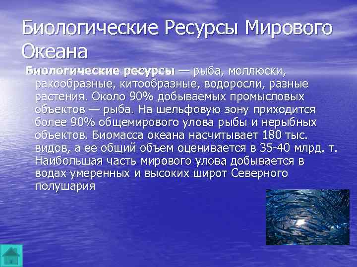 Мировые запасы мирового океана. Биологические ресурсы океана. Биологические богатства мирового океана. Ресурсы мирового океана биологические ресурсы. Биоресурсы мирового океана.