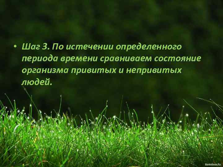  • Шаг 3. По истечении определенного периода времени сравниваем состояние организма привитых и