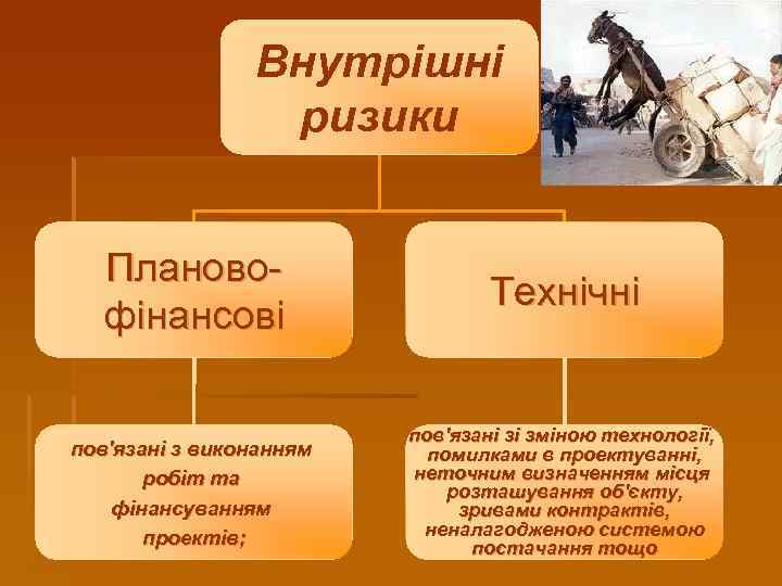 Внутрішні ризики Планово фінансові Технічні пов'язані з виконанням робіт та фінансуванням проектів; пов'язані зі