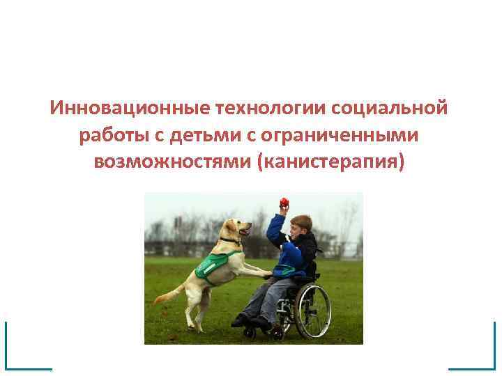 Инновационные технологии социальной работы с детьми с ограниченными возможностями (канистерапия) 