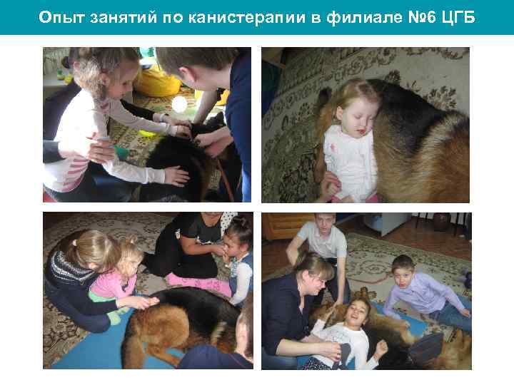 Опыт занятий по канистерапии в филиале № 6 ЦГБ 