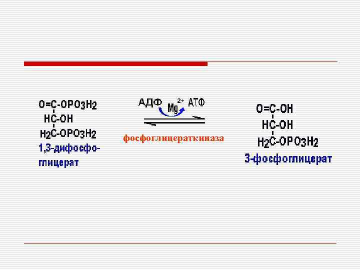 фосфоглицераткиназа 