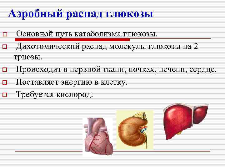 Аэробный распад глюкозы o o o Основной путь катаболизма глюкозы. Дихотомический распад молекулы глюкозы