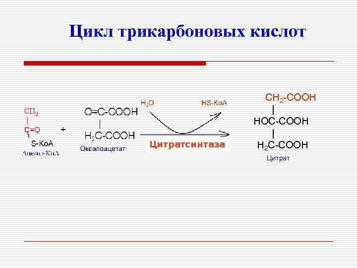 Цикл трикарбоновых кислот Цитратсинтаза CH 2 -COOH | HOC-COOH | H 2 C-COOH Цитрат