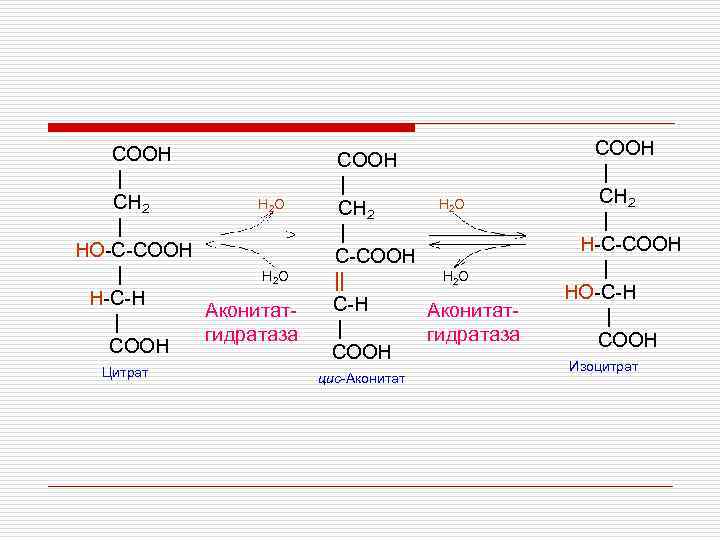 COOH | CH 2 H 2 O | HO-C-COOH | H 2 O H-C-H