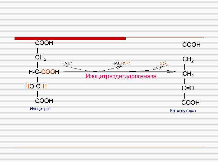 Hooc ch. Cooh ch2 c o Cooh. Изоцитрат дегидрогеназа. Изоцитрат в Альфа кетоглутарат. Изоцитратдегидрогеназа реакция.