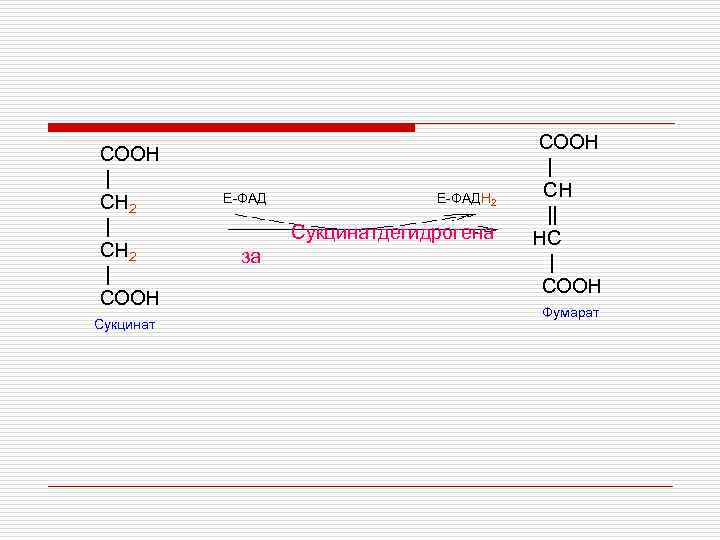 COOH | CH 2 | СН 2 | COOH Сукцинат E-ФАД Е-ФАДН 2 Сукцинатдегидрогена