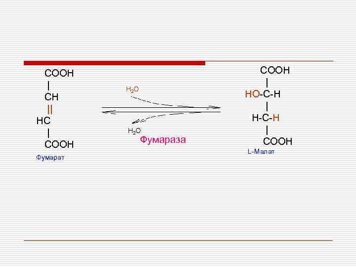 COOH | CH || HС | COOH Фумарат H 2 O Фумараза COOH |