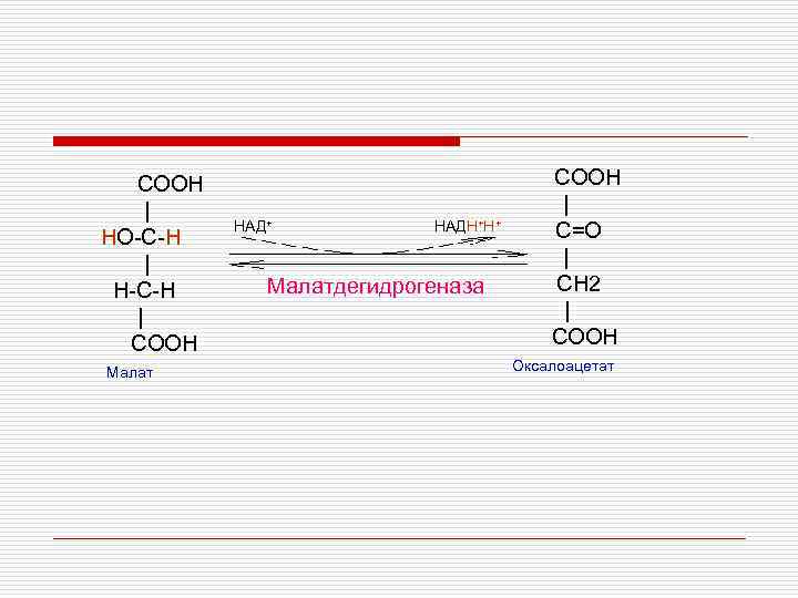 COOH | HO-C-H | H-С-H | COOH Малат НАД+ НАДН+Н+ Малатдегидрогеназа COOH | C=O