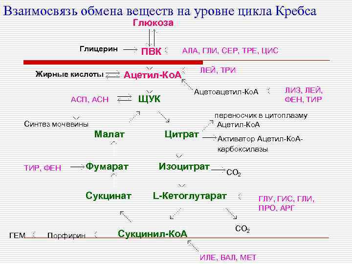 Взаимосвязь обменов. Взаимосвязь обменов веществ на уровне цикла Кребса. АСП+ПВК. Ала щук ПВК АСП. Ала в ПВК.