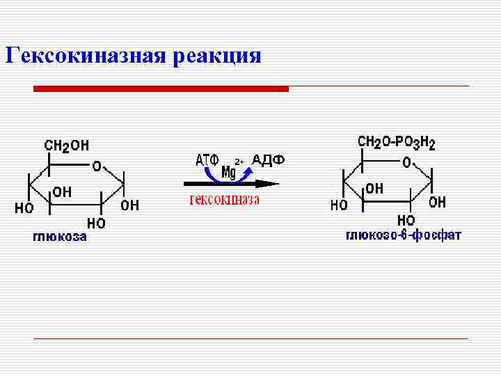 Гексокиназная реакция 