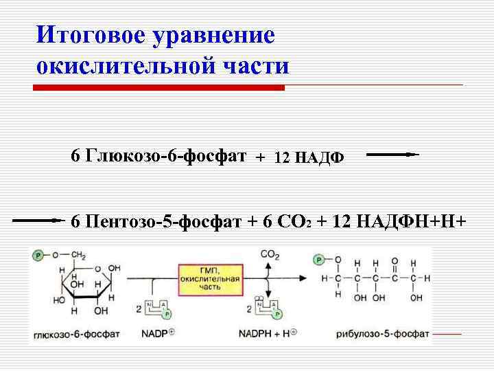 Итоговое уравнение окислительной части 6 Глюкозо-6 -фосфат + 12 НАДФ 6 Пентозо-5 -фосфат +