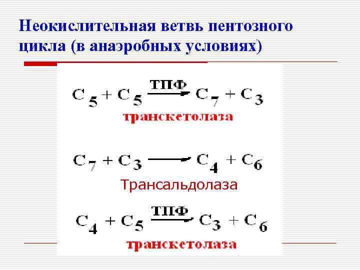 Неокислительная ветвь пентозного цикла (в анаэробных условиях) Трансальдолаза 