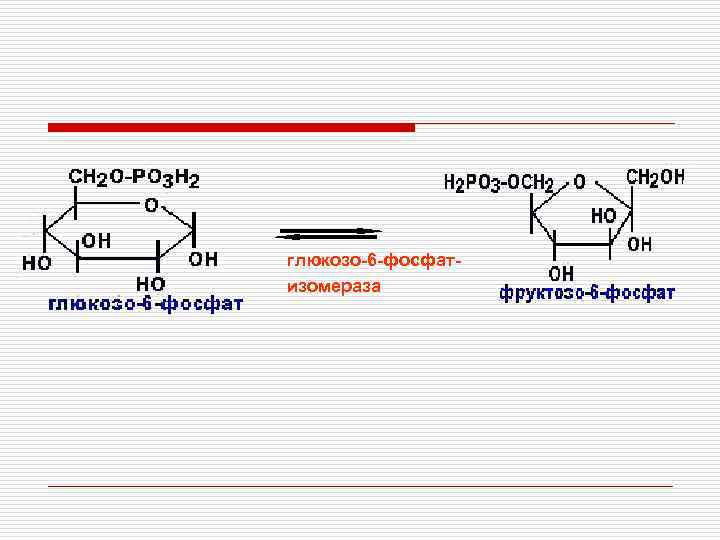 глюкозо-6 -фосфатизомераза 