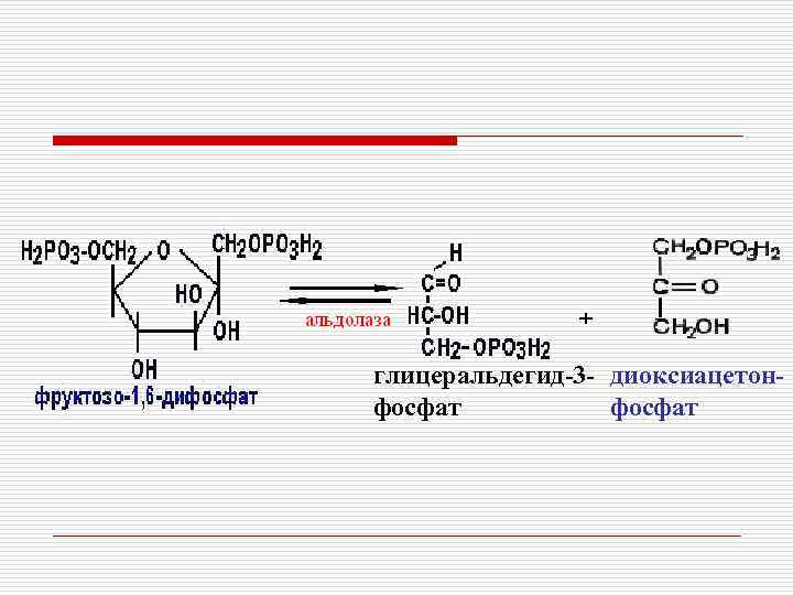 глицеральдегид-3 - диоксиацетонфосфат 