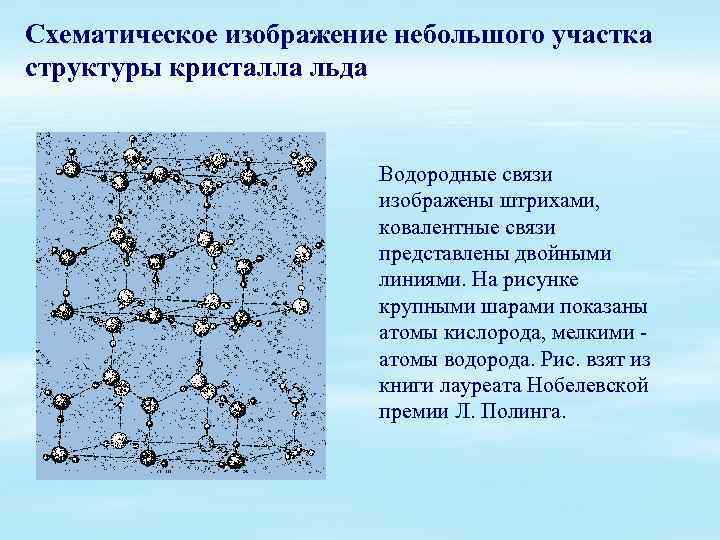 Схематическое изображение небольшого участка структуры кристалла льда Водородные связи изображены штрихами, ковалентные связи представлены