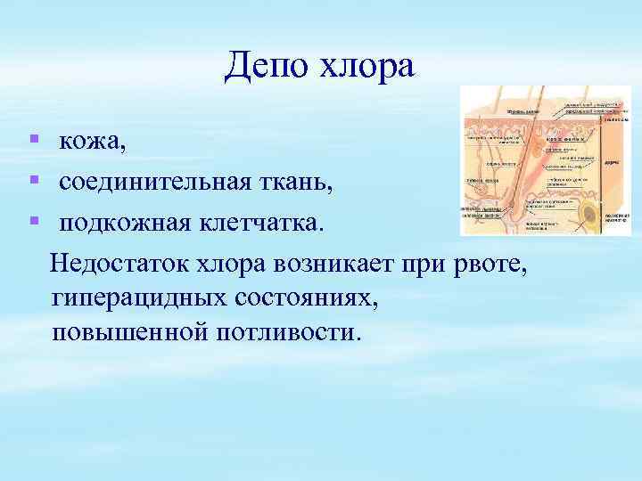 Депо хлора § кожа, § соединительная ткань, § подкожная клетчатка. Недостаток хлора возникает при