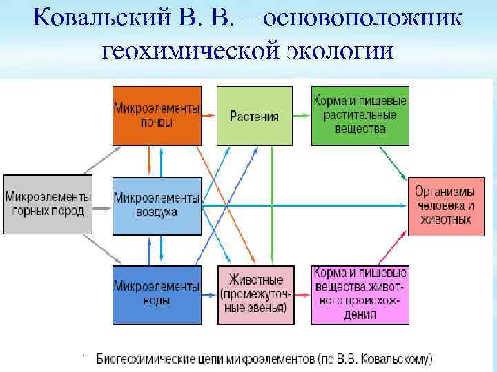 Ковальский В. В. – основоположник геохимической экологии 