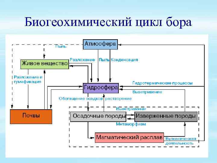 Схема биогеохимического цикла углерода