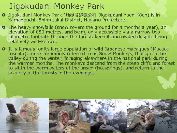 Jigokudani Monkey Park (地獄谷野猿公苑 Jigokudani Yaen Kōen) is in Yamanouchi, Shimotakai District, Nagano Prefecture.