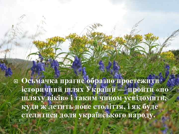  Осьмачка прагне образно простежити історичний шлях України — пройти «по шляху віків» і