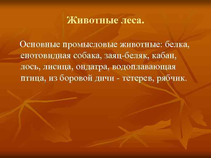 Животные леса. Основные промысловые животные: белка, енотовидная собака, заяц-беляк, кабан, лось, лисица, ондатра, водоплавающая