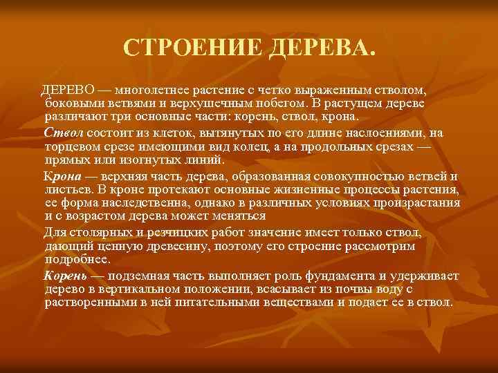 СТРОЕНИЕ ДЕРЕВА. ДЕРЕВО — многолетнее растение с четко выраженным стволом, боковыми ветвями и верхушечным