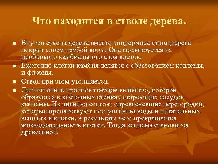 Что находится в стволе дерева. n n Внутри ствола дерева вместо эпидермиса ствол дерева