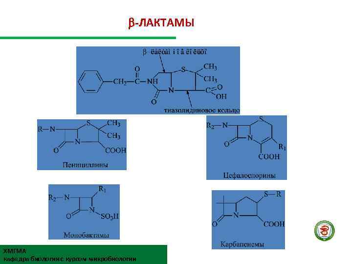  -ЛАКТАМЫ ХМГМА кафедра биологии с курсом микробиологии 