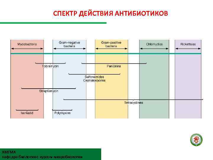 СПЕКТР ДЕЙСТВИЯ АНТИБИОТИКОВ ХМГМА кафедра биологии с курсом микробиологии 